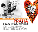 Prague Symposium on Congenital Heart Disease 2022