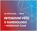 Intenzivní péče v kardiologii, Workshop ČAAK