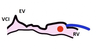 Obr�zek 2