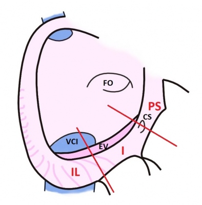 Obr�zek 1
