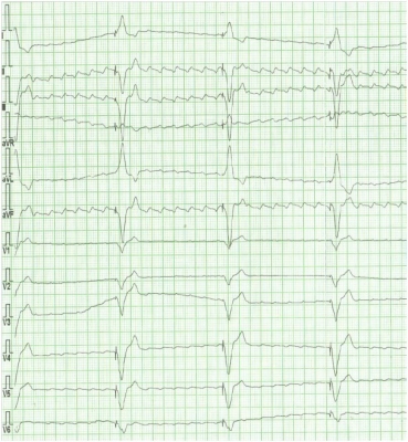 Obr�zek 3