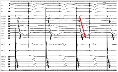 Obr�zek 7