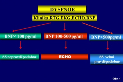 Obr. 4  Hodnoty BNP pro chronick srden selhn. BNP  natriuretick peptid typu B; SS  srden selhn.